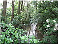 River Cam at Shortgrove Bridge