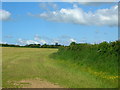 Footpath to St Mabyn