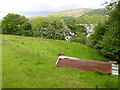 Field next to Bala Lake