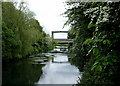 River Rother, Woodhouse Mill