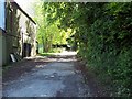 Bridleway to Sixpenny Handley