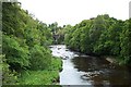 The River Avon at Chatelherault Country Park