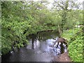 Waterfoot River