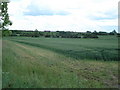 A1 views over farmland from near Duloe
