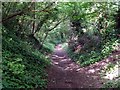 The bottom end of Whiteshute Lane