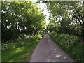 Lane up Hartgrove Hill