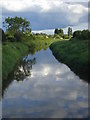 River Parrett, from Burrow Bridge