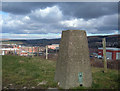 Birshaw Trig Pillar, Shaw