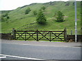 SD9419 : Double gates at the side of the A6033 by Alexander P Kapp