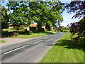 Road in Sand Hutton