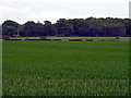 Field along A1064