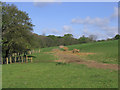 Farmland at Swarland Fence