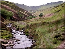 SK1189 : Stream from Kinder by Roger Temple