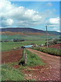 Track to Boghead Farm