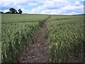 Footpath from Ham Corner, Tarrant Rushton