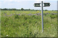 SK9251 : Footpath signpost by Kate Jewell