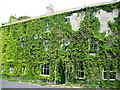 NY8355 : The Dale Hotel in summer plumage by Mike Quinn
