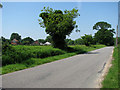 Road approaching Swanton Abbott