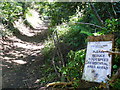 North Downs Way, West of Puttenham