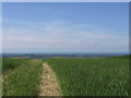 Track at Woodlands Farm