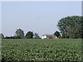 Countryside south of Good Easter