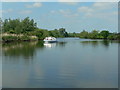 Pleasureboat on the River Yare