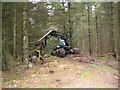 NO6594 : Harvesting timber in Blackhall Forest by Nigel Corby