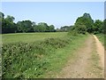 Open Land and Woodland by Marriott