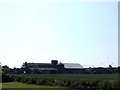 Farm buildings and rooks at Gransden Lodge