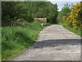 Dismantled railway by Sauchen road