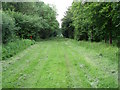 Footpath through Little Horton Wood