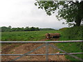 ST5356 : Butts Quarry Farm, looking towards Compton Wood by HelenK