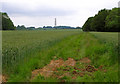 Track Leading to Lilley Hoo