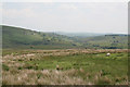 Moorland grazing in the upper  Manifold Valley