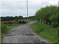 N6424 : Old bog road by liam murphy