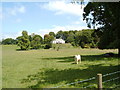 Field on Craigs Road