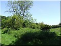 The site of the former Church of St Margaret, Winceby