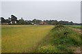 Field near Stone House, Aldringham