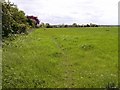 Footpath adjacent to hedge