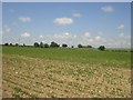 Farmland near Waterhouse Farm