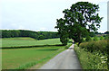 Rural Scene near Hannigan