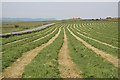 Hay field on Moorside / Morridge