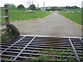 Cattle grid on track to the water treatment works