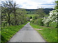 Road near The Peels, Harbottle