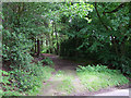 Bridleway towards Willey, Shropshire