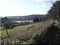 Bodenham Gravel Pits