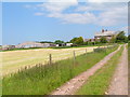 Approaching Sandhills Farm