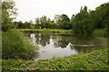 Pond at Thorney