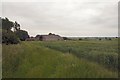 TM0555 : Badley Green Farm by Bob Jones