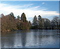 Abernant Lake